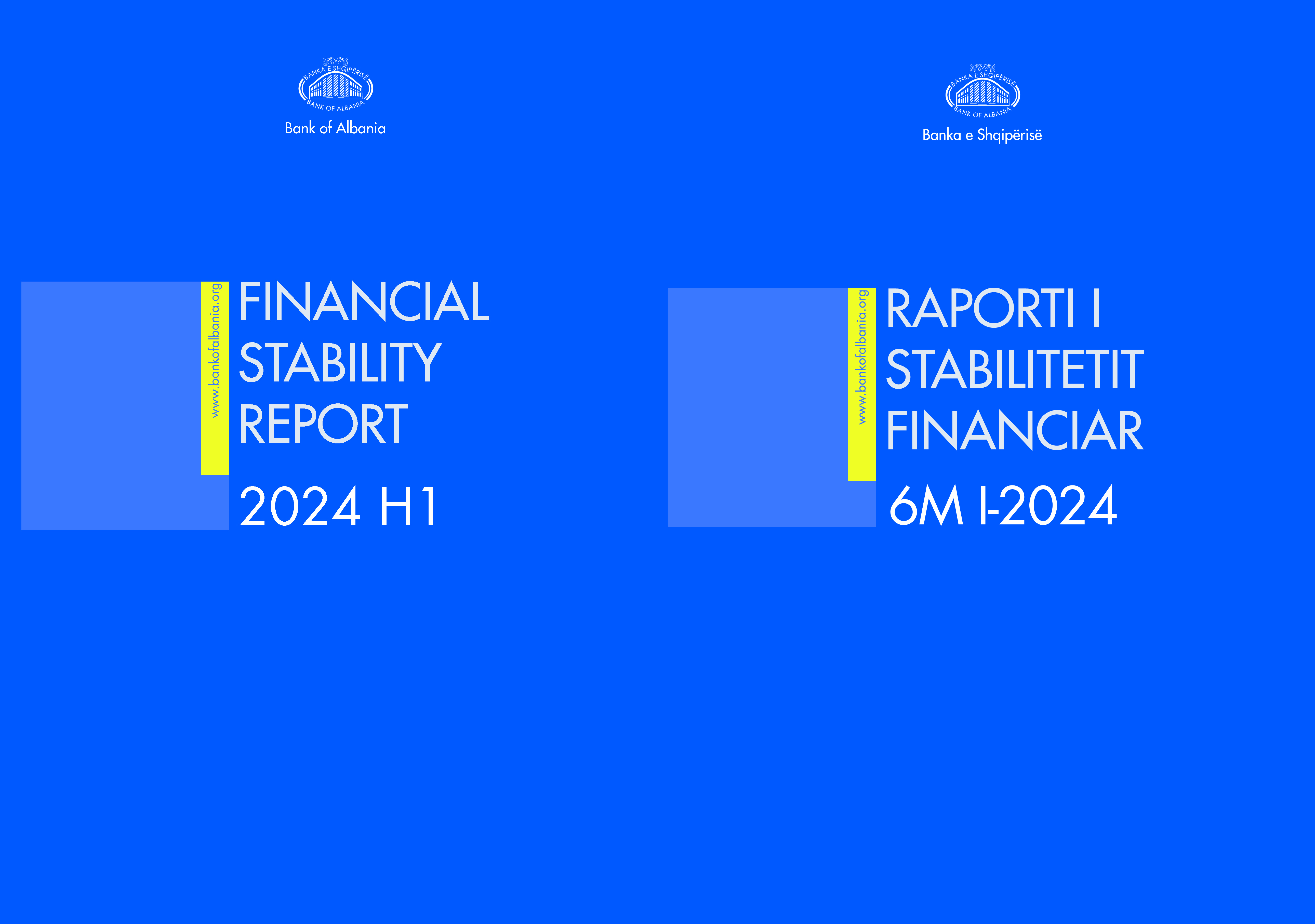 Financial Stability Report - 2024 H1